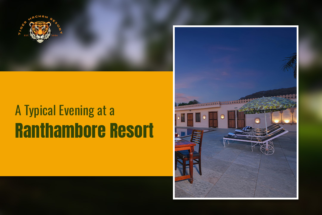 a-typical-evening-at-a-ranthambore-resort