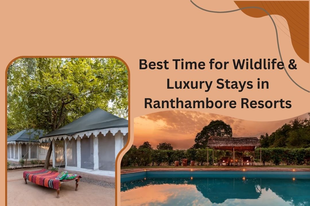 best-time-for-wildlife-luxury-stays-in-ranthambore-resorts