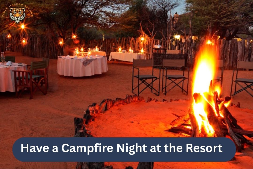 have-a-campfire-night-at-the-resort