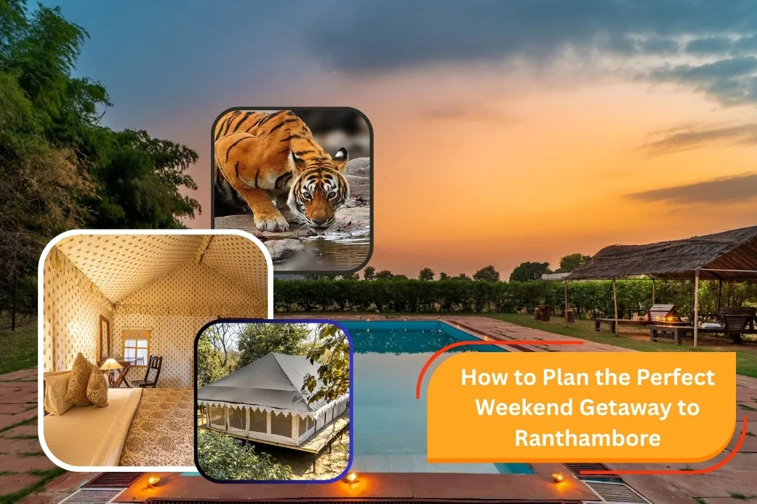 how-to-plan-the-perfect-weekend-getaway-to-ranthambore