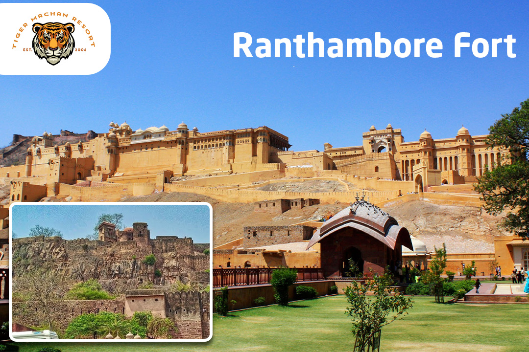 Ranthambore Fort