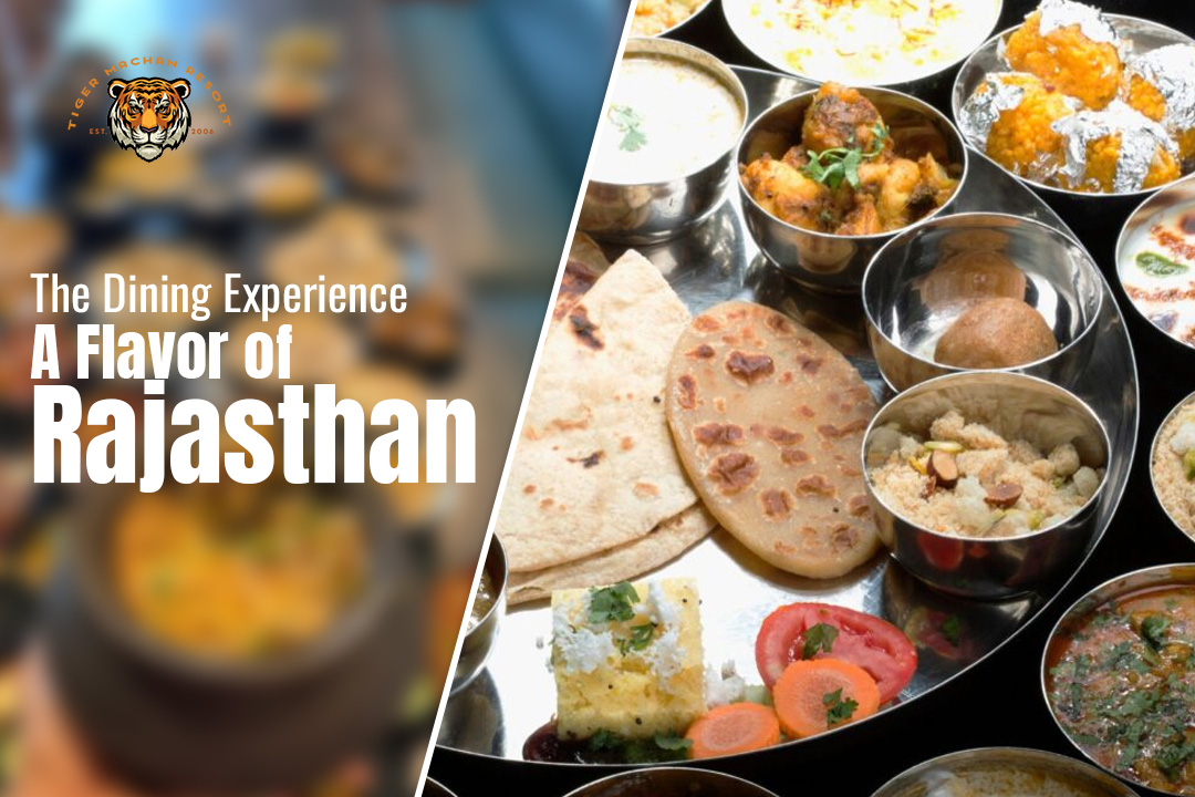 the-dining-experience-a-flavor-of-rajasthan