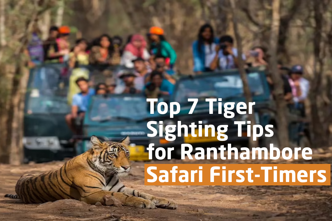 Top 7 Tiger Sighting Tips For Ranthambore Safari First-Timers