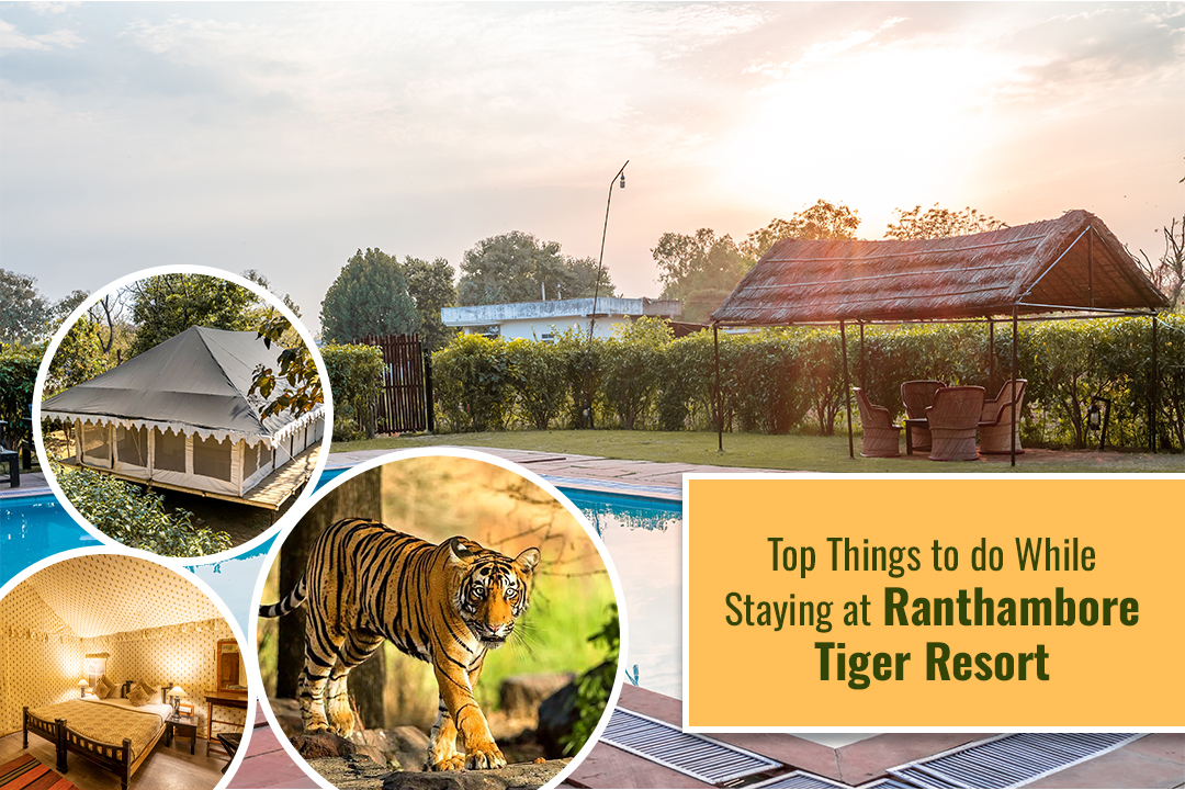 top-things-to-do-while-staying-at-ranthambore-tiger-resort