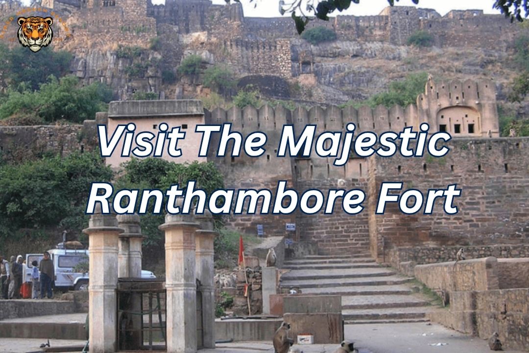 visit-the-majestic-ranthambore-fort