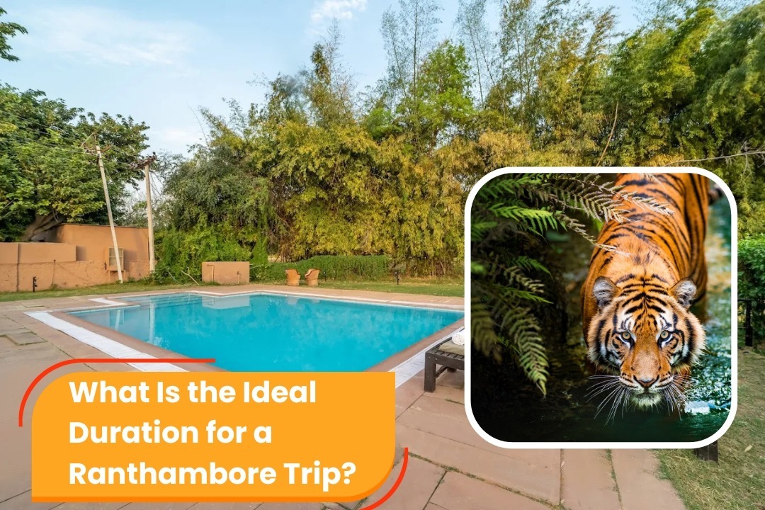 what-is-the-ideal-duration-for-a-ranthambore-trip