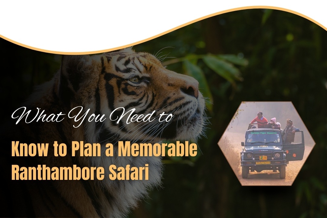 What You Need to Know to Plan a Memorable Ranthambore Safari